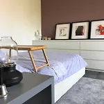 Modern Apartment Cervar - Porat